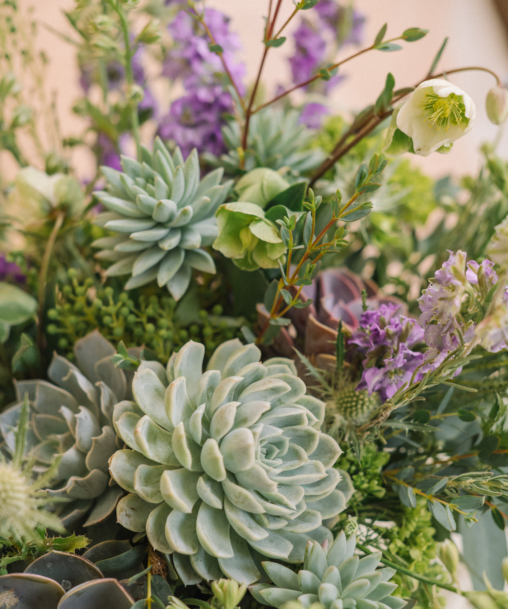succulents and peonies Succulent Garden – Peony & Plum Floral Studio