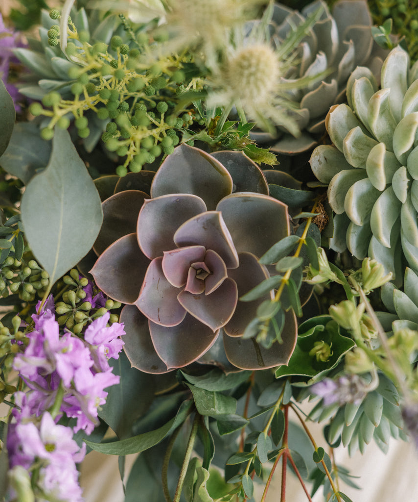 succulents and peonies Succulent Garden – Peony & Plum Floral Studio
