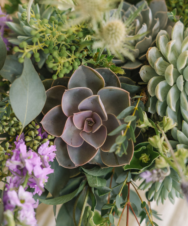 NEW! Succulent Garden